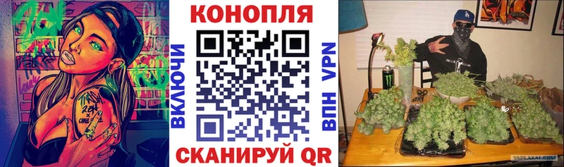 Наркошоп купить ГАШИШ  Каннабис  A-PVP  Меф мяу мяу  КОКАИН  Моздок