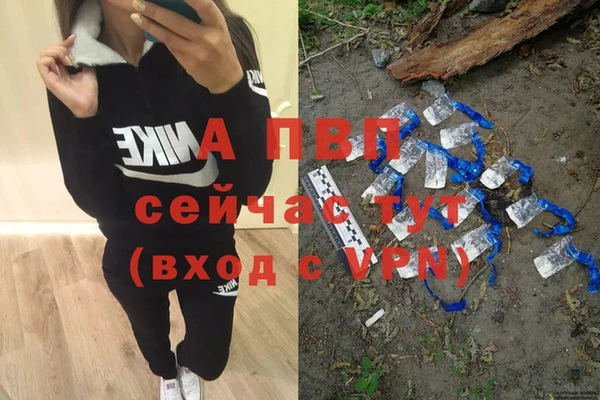 шишки Тайга