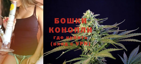 2c-b Струнино