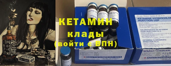 шишки Тайга