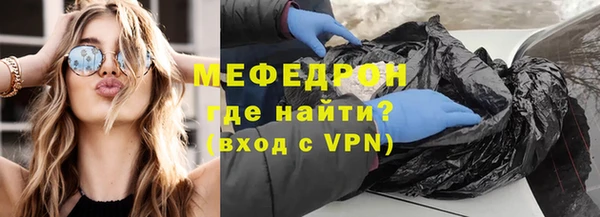 индика Тавда
