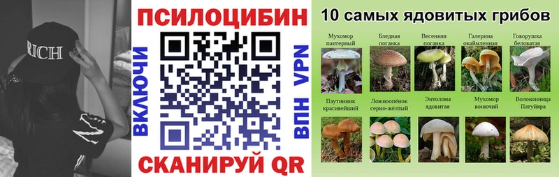 Купить  Моздок  Галлюциногенные грибы мицелий 